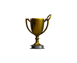 COMPETITIVE PLAYER - GOLD